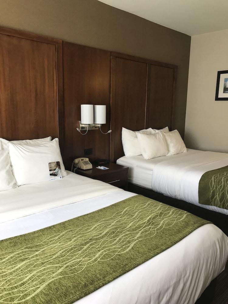 Comfort Inn Ellsworth - Bar Harbor Eksteriør billede