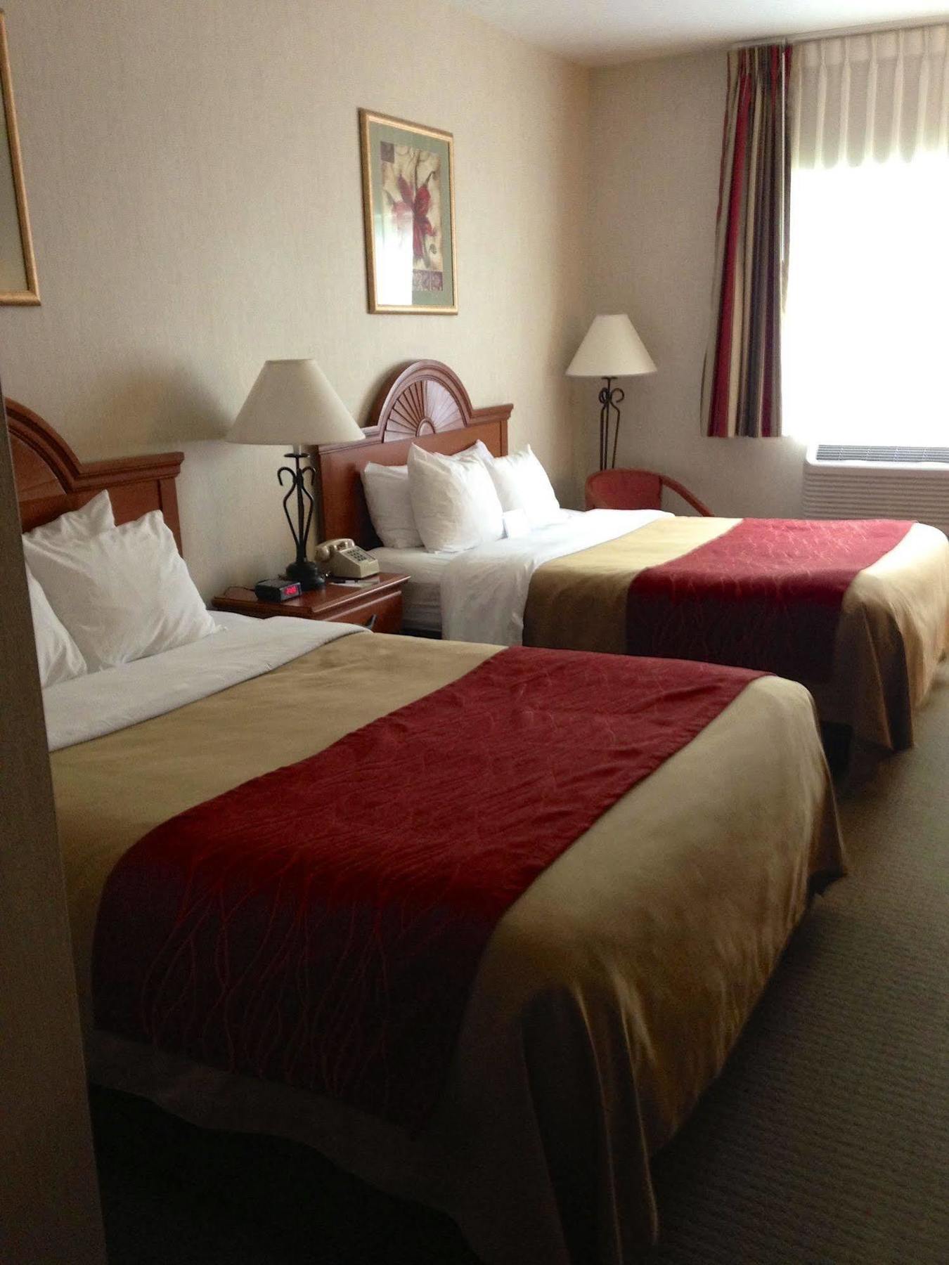 Comfort Inn Ellsworth - Bar Harbor Eksteriør billede